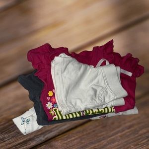 Bundle of 4 items girl clothing - size 24/2T